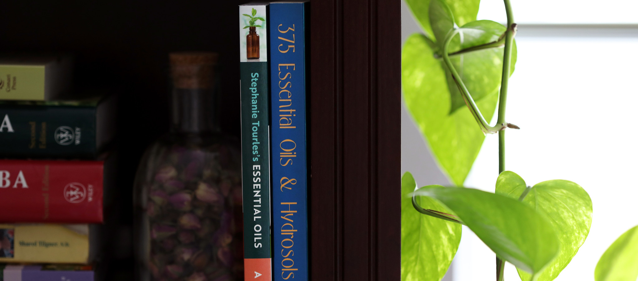 Aromatherapy & Essential Oil Books